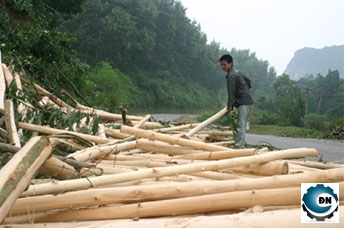 Giá gỗ nguyên liệu giấy giảm